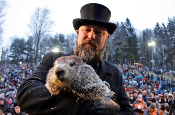 Feitiço do Tempo: Marmota Phil prevê que frio vai continuar nos EUA
