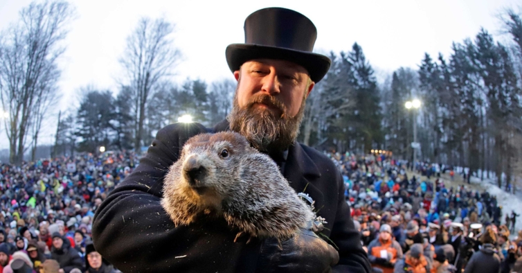 Feitiço do Tempo: Marmota Phil prevê que frio vai continuar nos EUA