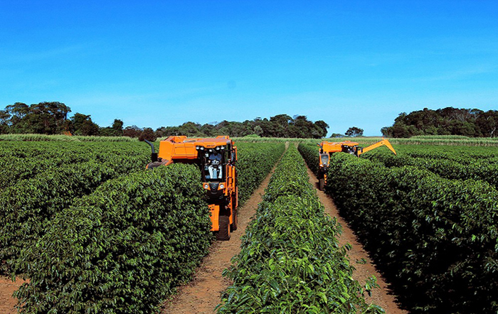 Indústria de máquinas agrícolas deve crescer 5% no ano, apesar da falta de peças