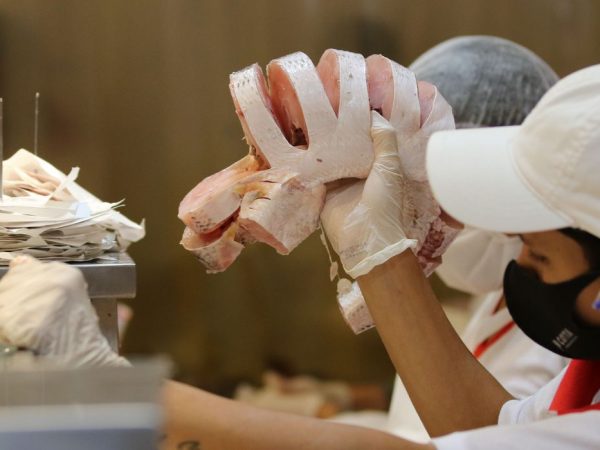 Além de tradição, pescado é opção econômica para a Semana Santa