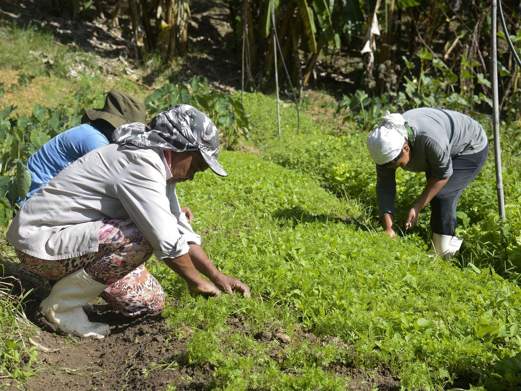 Apesar de avanços, mais de 70% das propriedades rurais vivem sem conectividade no país
