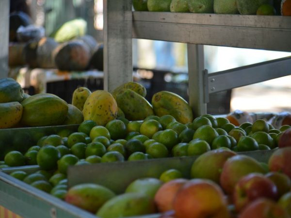 ONGs e empresas reduzem desperdício de alimentos aproveitando descartáveis