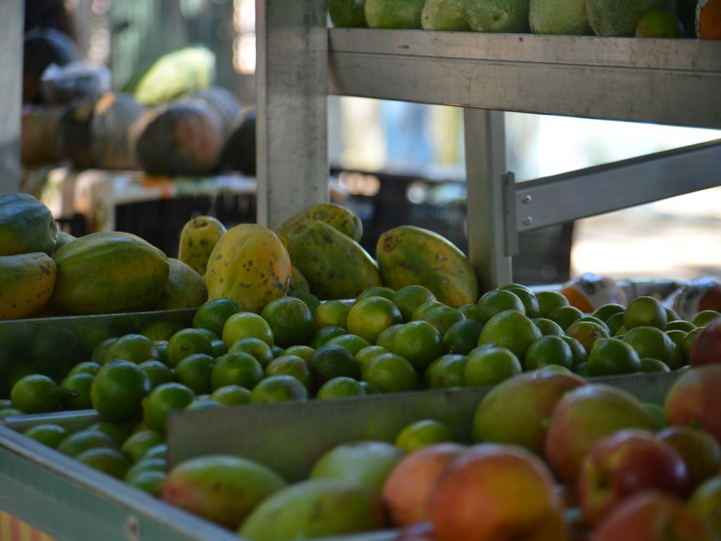 ONGs e empresas reduzem desperdício de alimentos aproveitando descartáveis