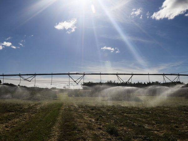 Agronegócio registra superávit de US$ 43,7 bilhões até abril