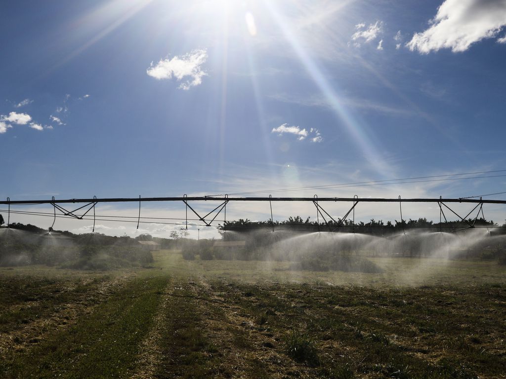 Agronegócio registra superávit de US$ 43,7 bilhões até abril