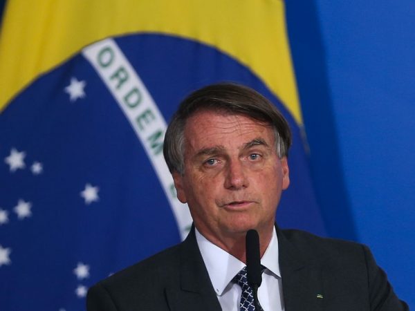 Brics deve defender reforma do Conselho de Segurança, diz presidente