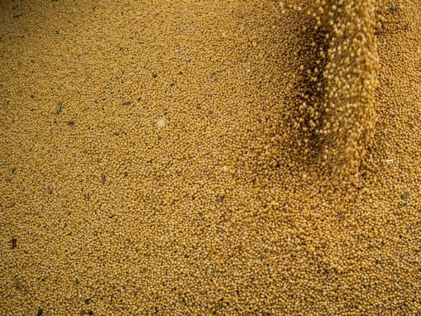 Projeções da AEB para balança comercial apontam para novos recordes