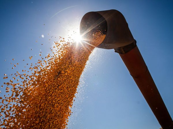 IBGE estima safra recorde de 263,4 milhões de toneladas em 2022