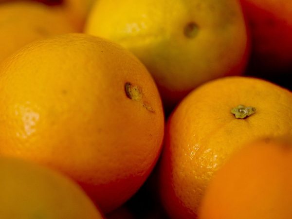 ApexBrasil vai qualificar produtores e empresas para exportar frutas