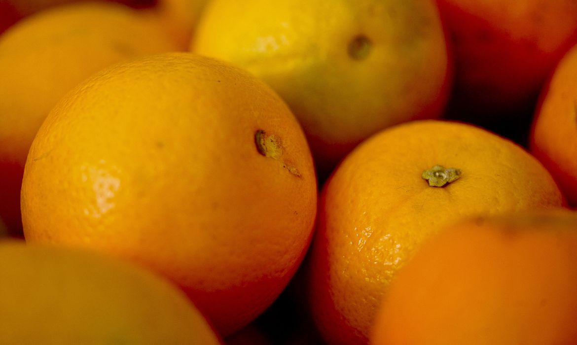 ApexBrasil vai qualificar produtores e empresas para exportar frutas