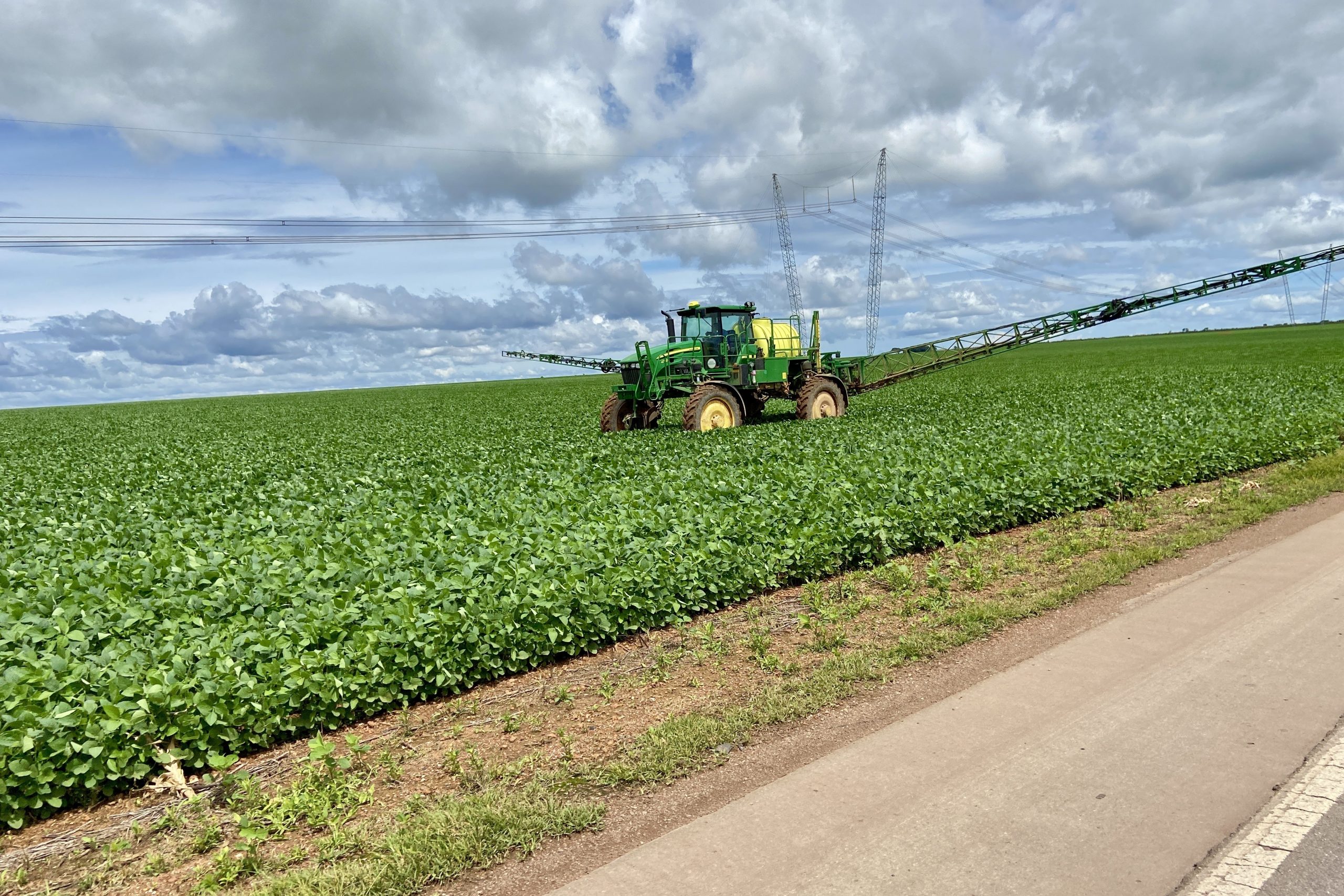 Soja responde por mais de 40% da receita da produção agrícola no Brasil