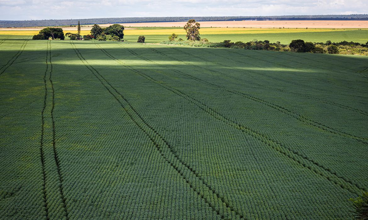 Produtores querem mostrar sustentabilidade da agropecuária na COP27