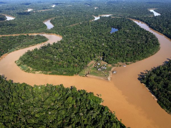Brasil fica de fora de parceria por florestas na COP27