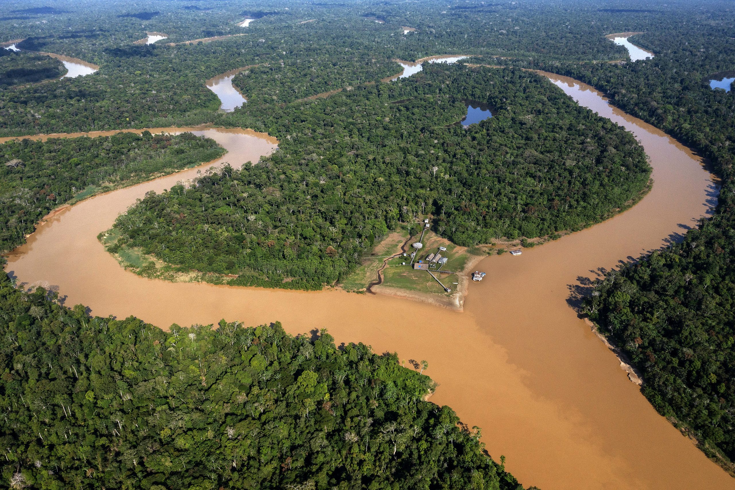 Brasil fica de fora de parceria por florestas na COP27