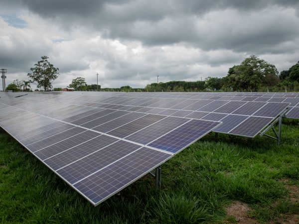 Crescimento da energia solar ajuda a reduzir custos no agronegócio