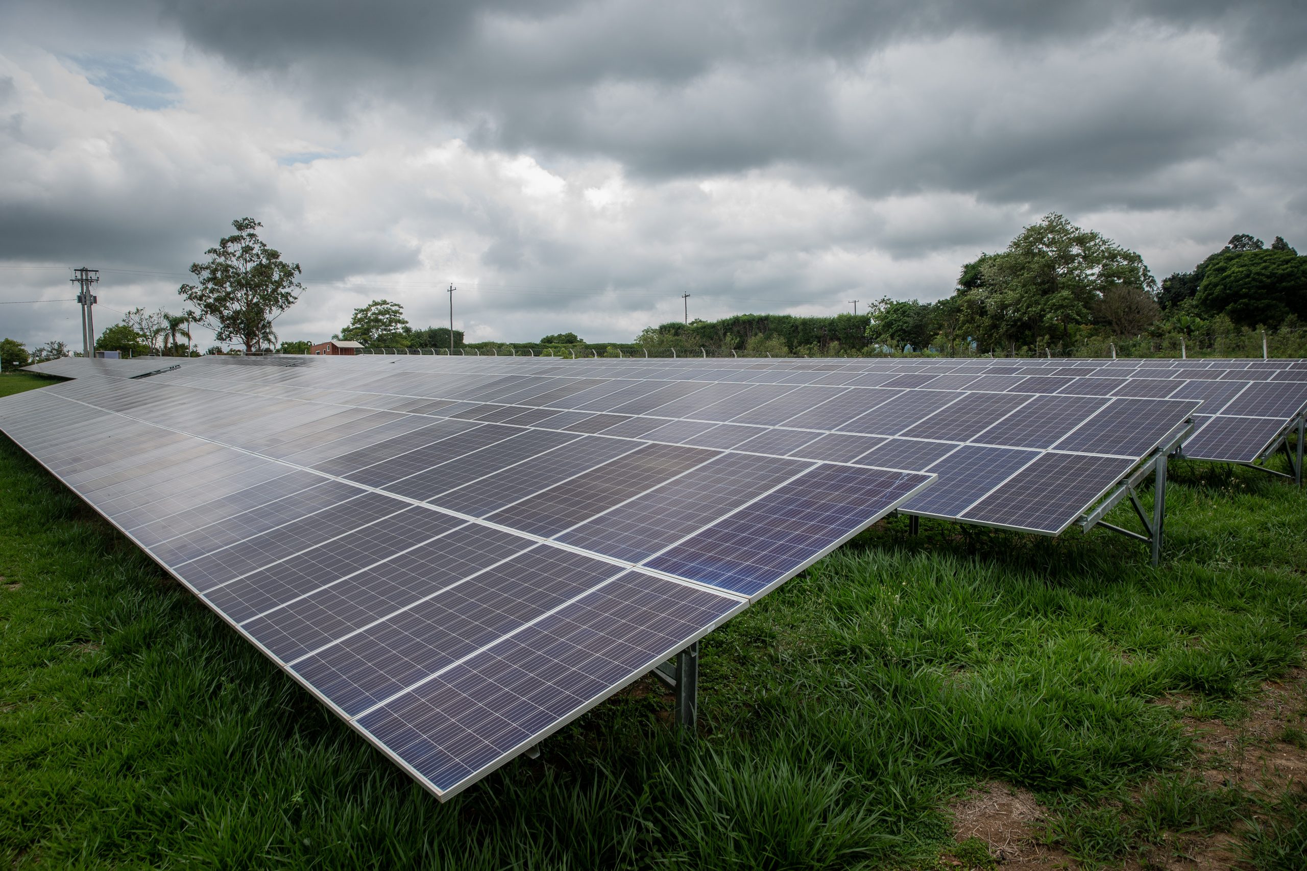 Crescimento da energia solar ajuda a reduzir custos no agronegócio