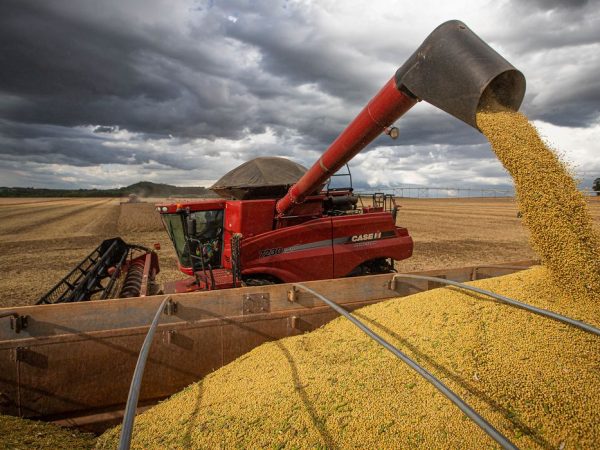 IBGE prevê safra recorde de 288,1 milhões de toneladas em 2023