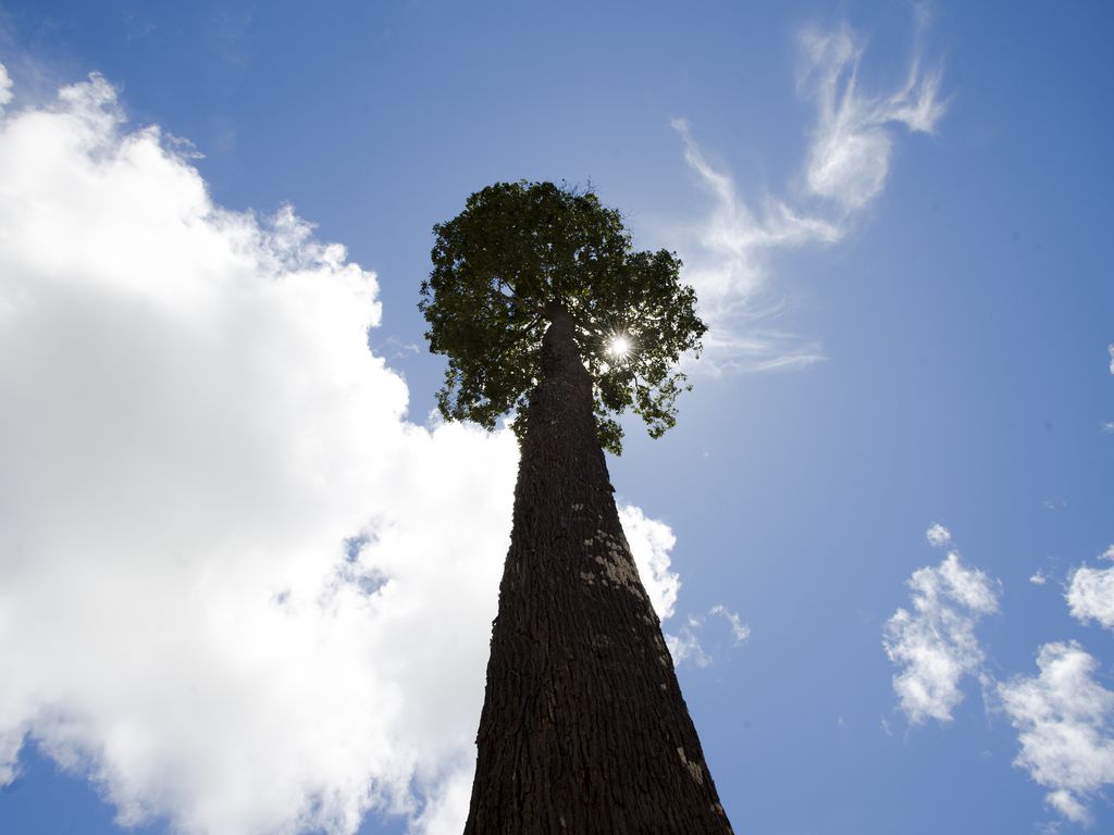 Preocupação com sustentabilidade está presente em 60% das indústrias