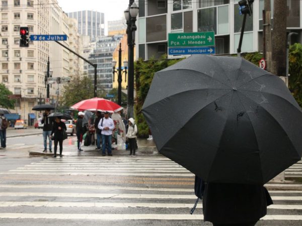 Chuvas causam queda de árvores e pontos de alagamento em SP
