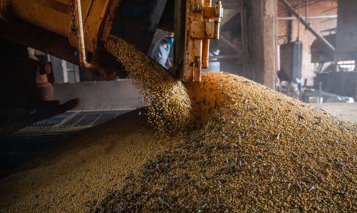 IBGE estima safra recorde de 296,2 milhões de toneladas neste ano