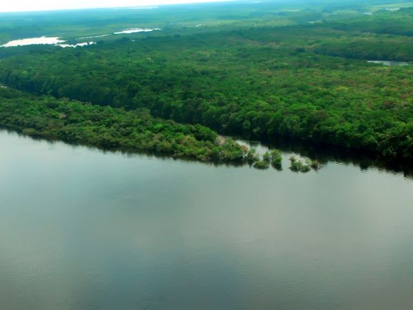 EUA estão empenhados em arrecadar recursos “vultosos” para Amazônia