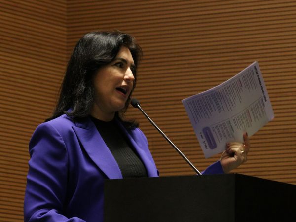 Tebet: sem arcabouço fiscal faltaria dinheiro para despesas do governo