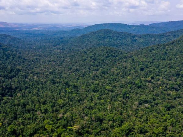 EUA anunciam US$ 500 milhões para Fundo Amazônia em cinco anos