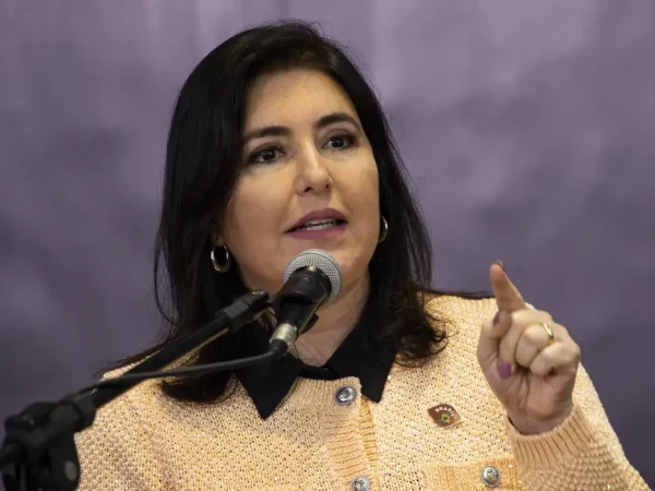 Revisão da meta será avaliada no momento certo, afirma Tebet