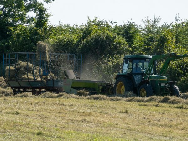 Crédito rural: prazo para renegociação de dívida de investimento vai até 31 de maio