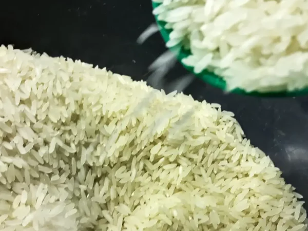 Ministro da Agricultura promete novo e mais eficiente leilão do arroz
