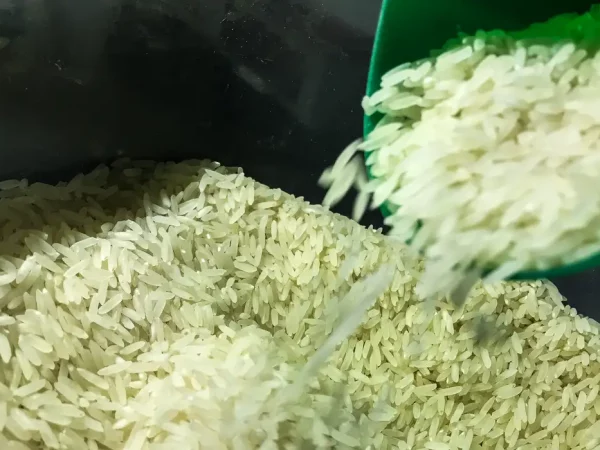 Conab exige que vencedoras de leilão do arroz comprovem capacidade técnica e financeira