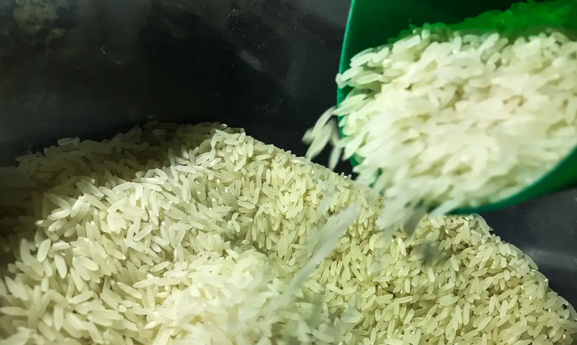 Conab exige que vencedoras de leilão do arroz comprovem capacidade técnica e financeira