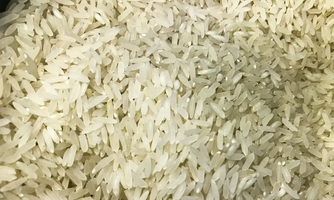Pequenos e grandes mercados receberão arroz importado pelo governo