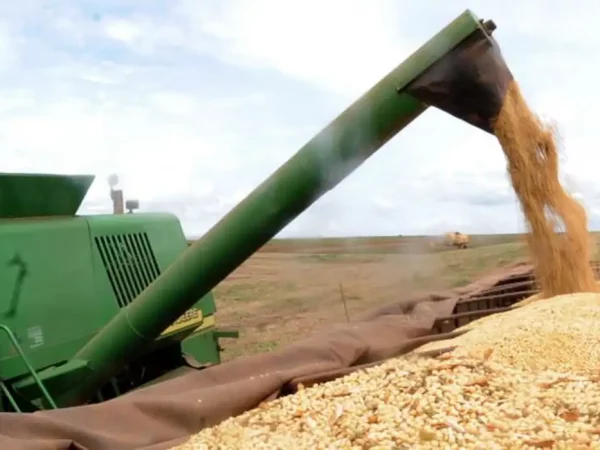 Conab: 10ª pesquisa da safra de grãos 2023/24 indica de 299,27 milhões de toneladas