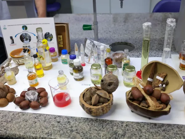 Centro desenvolve modelo de negócios com base na biodiversidade