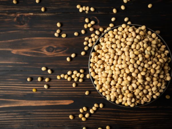 China aumenta participação nas compras do agronegócio brasileiro em um ano, para 35%