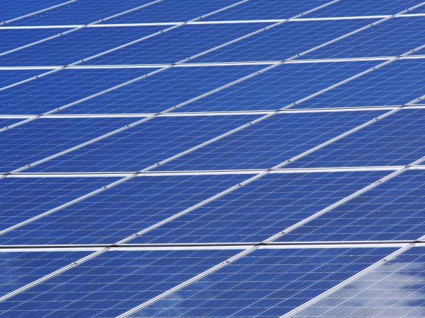 Grandes usinas solares no Brasil atingem 15 GW, mas sofrem cortes do ONS, diz Absolar