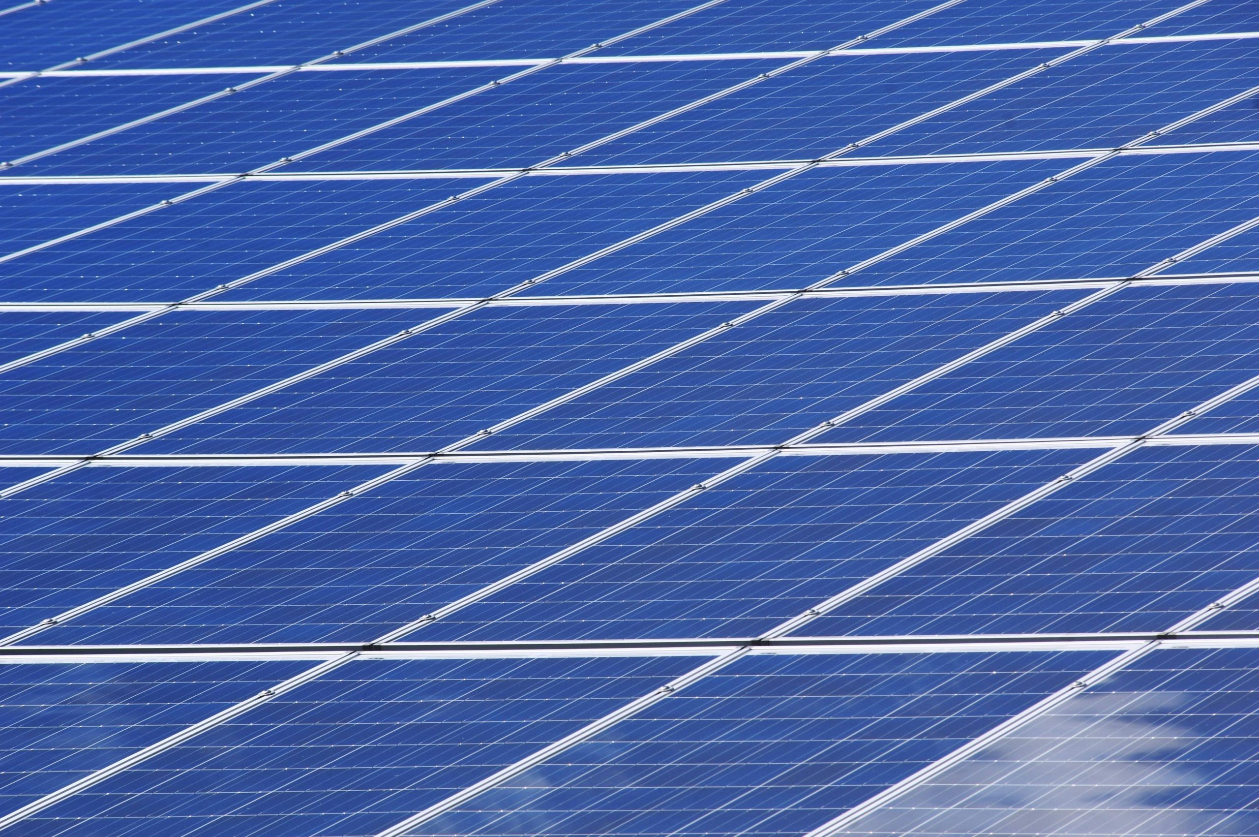 Grandes usinas solares no Brasil atingem 15 GW, mas sofrem cortes do ONS, diz Absolar