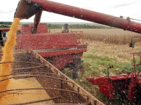 Exportação do agronegócio paulista cresce 9,2% até setembro, com US$ 22,69 bi, aponta IEA-APTA