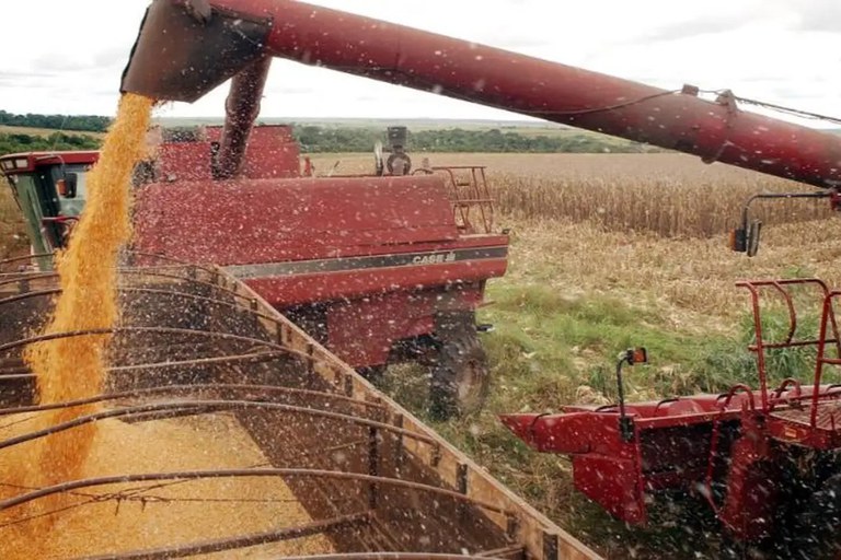 Exportação do agronegócio paulista cresce 9,2% até setembro, com US$ 22,69 bi, aponta IEA-APTA