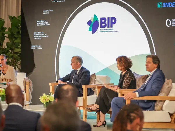Brasil lança plataforma para atrair investimentos verdes