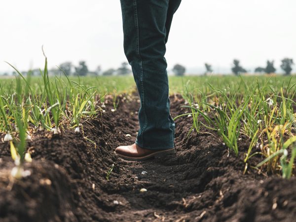 No AgroForum, Wesley Batista cita importância de adaptar negócios às novas demandas de consumo