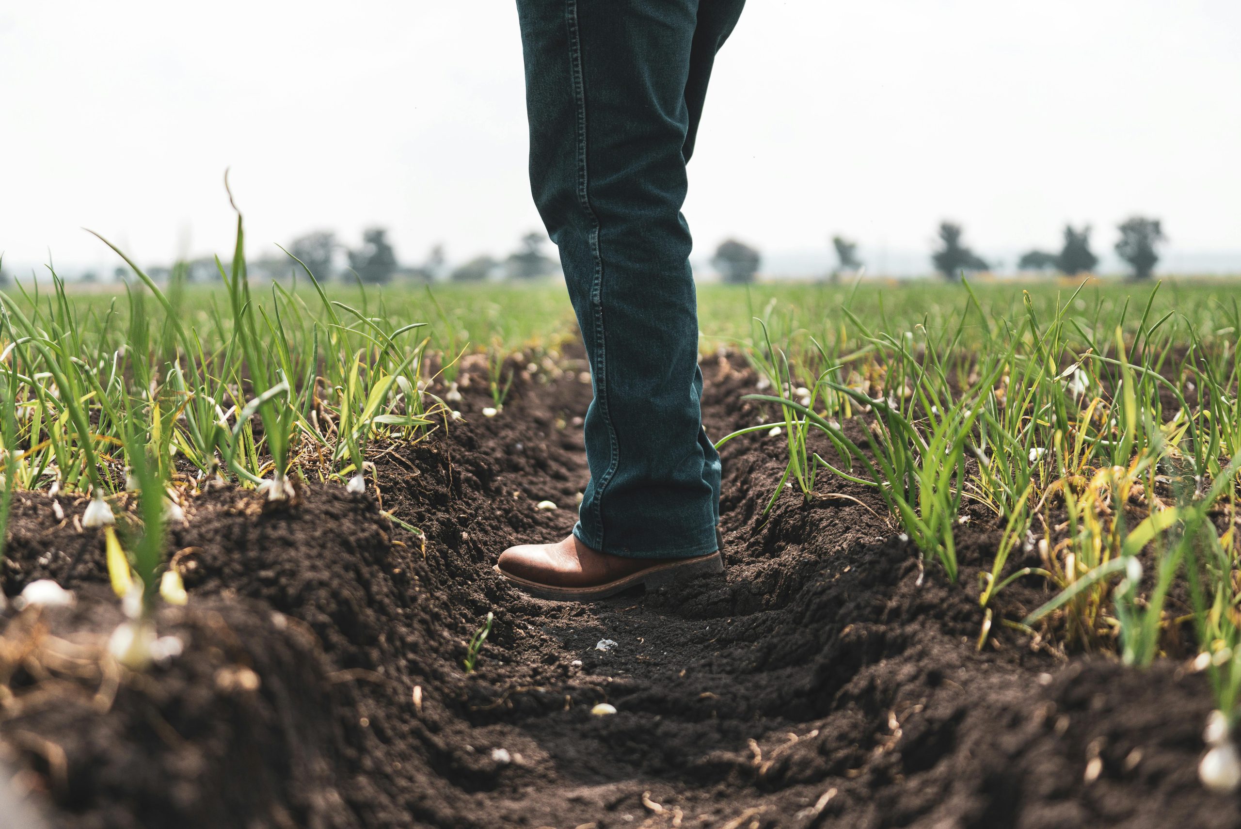 No AgroForum, Wesley Batista cita importância de adaptar negócios às novas demandas de consumo