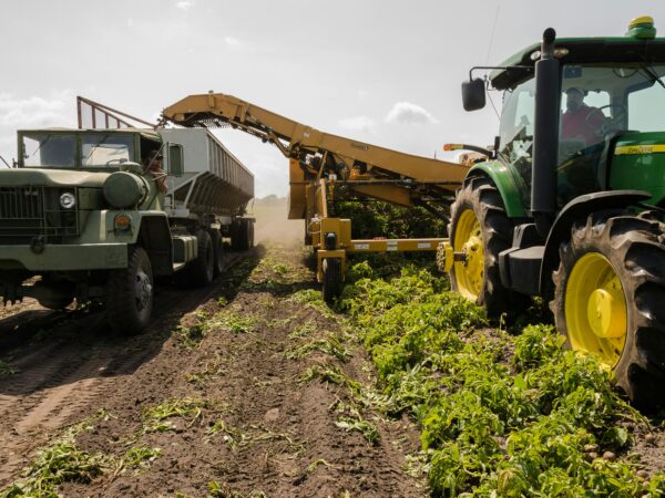 Governo nomeia 11 novos adidos agrícolas do Brasil no exterior