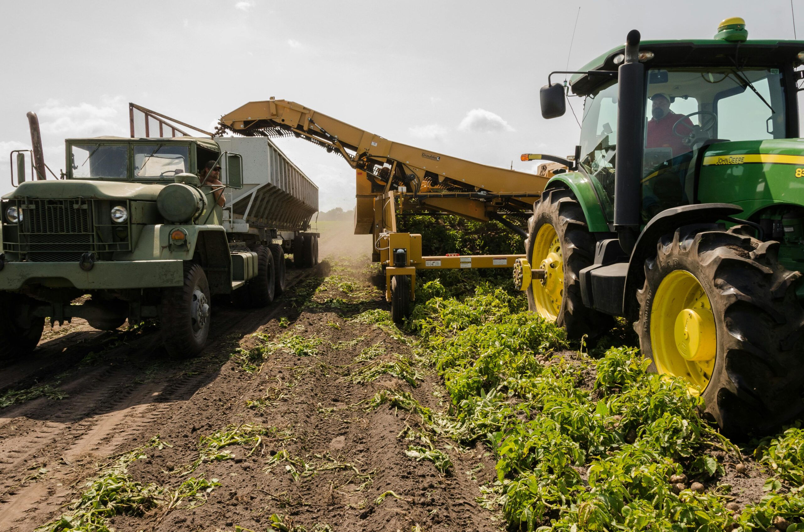 Governo nomeia 11 novos adidos agrícolas do Brasil no exterior