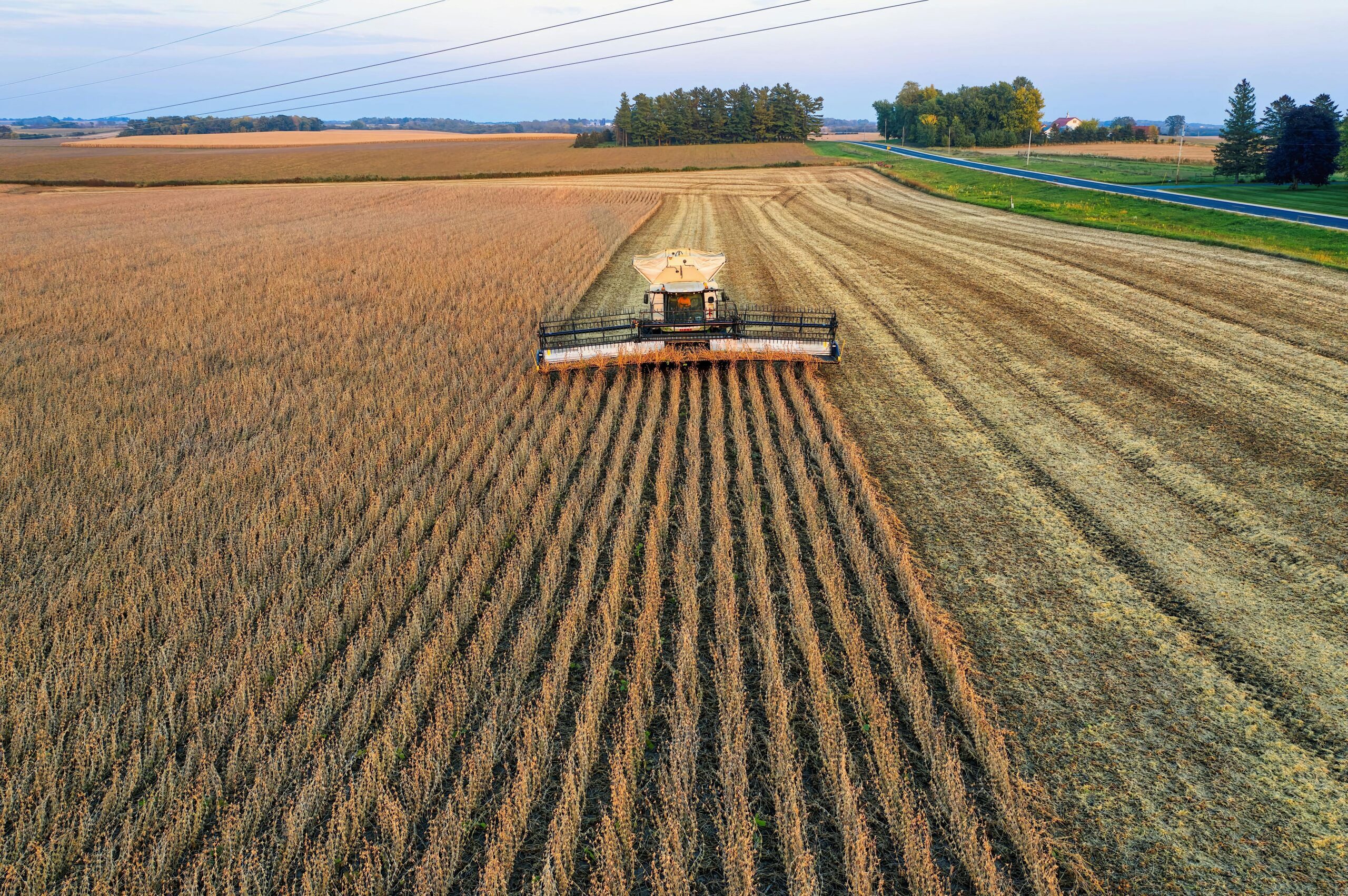 Exportação do agronegócio recua 5,3% em janeiro, para US$ 11 bilhões