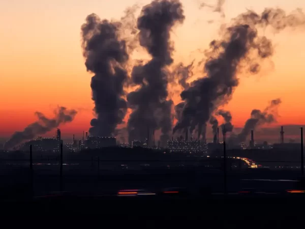 Em ano de COP 30, crédito de descarbonização deve atrair novos investidores