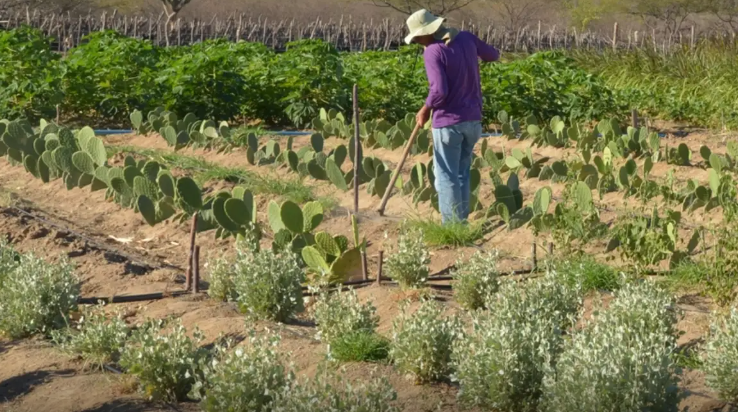 Na Agrishow, Broto lançará clube de benefícios inédito para produtores rurais