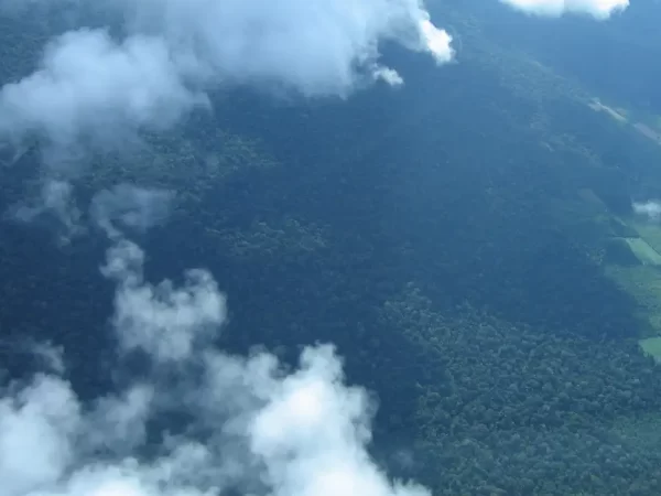 Petrobras comprará R$ 450 milhões em créditos de carbono na Amazônia