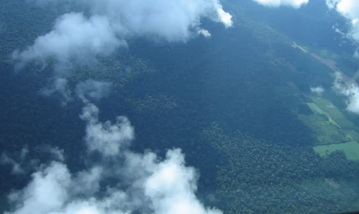 Petrobras comprará R$ 450 milhões em créditos de carbono na Amazônia